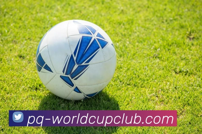 世界杯体育投注APP 封面图