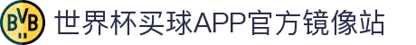 世界杯买球APP-专业体育投注平台